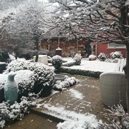 Adamas B&B Dendermonde Exterior foto